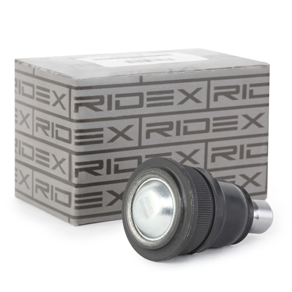 RIDEX Šarniir 2462S0240