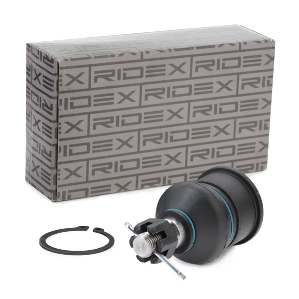 RIDEX Šarniir 2462S0241