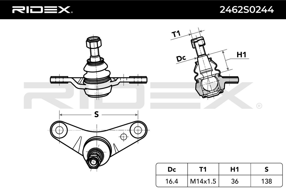 RIDEX Šarniir 2462S0244