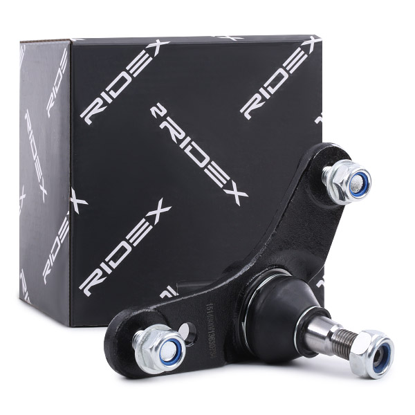 RIDEX Šarniir 2462S0251