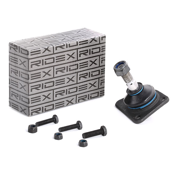 RIDEX Šarniir 2462S0256