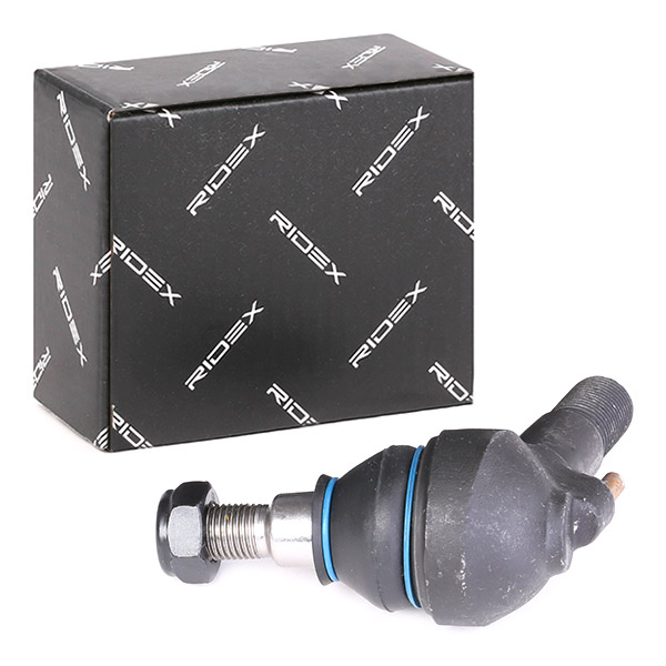 RIDEX Šarniir 2462S0275