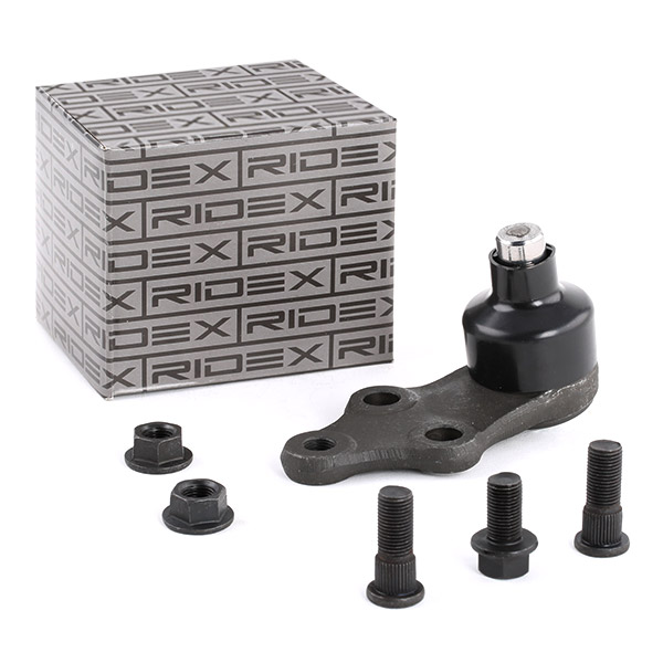 RIDEX Šarniir 2462S0281