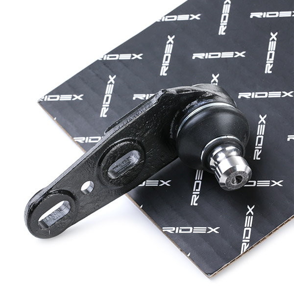 RIDEX Šarniir 2462S0282