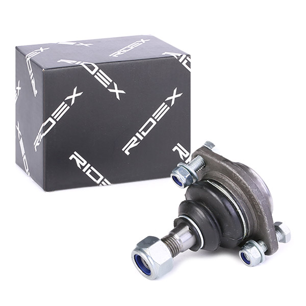 RIDEX Šarniir 2462S0284