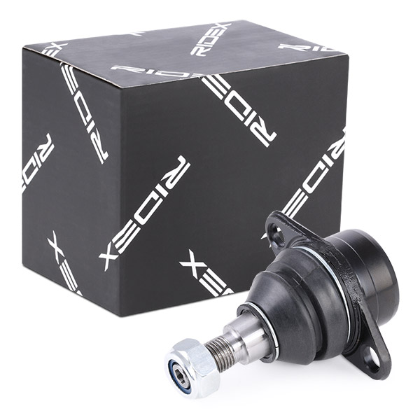 RIDEX Šarniir 2462S0292