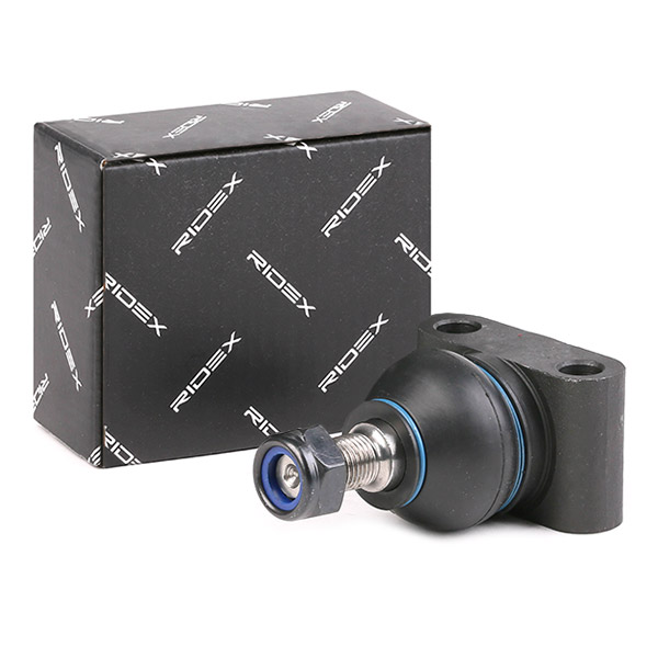 RIDEX Šarniir 2462S0297