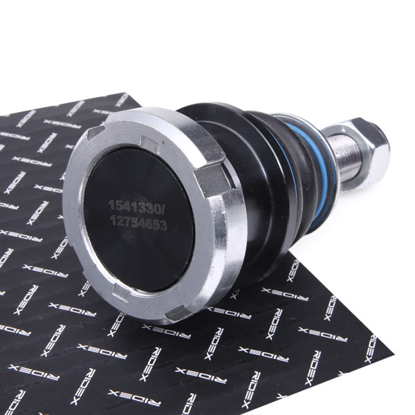 RIDEX Šarniir 2462S0310