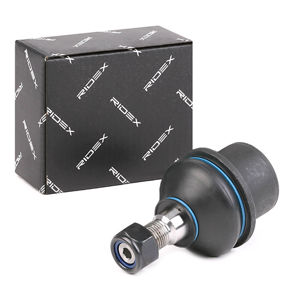 RIDEX Šarniir 2462S0325