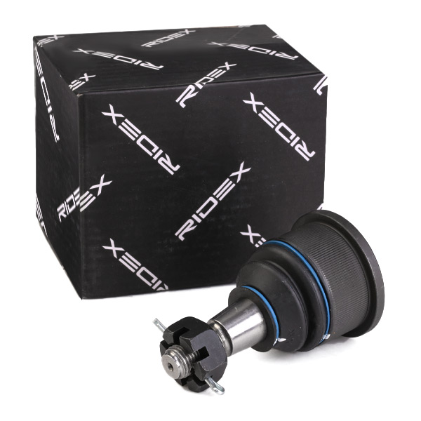 RIDEX Šarniir 2462S0330