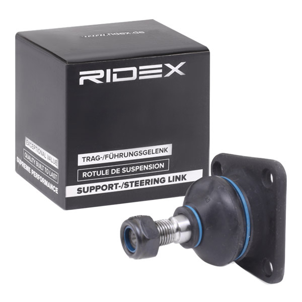 RIDEX Šarniir 2462S0388