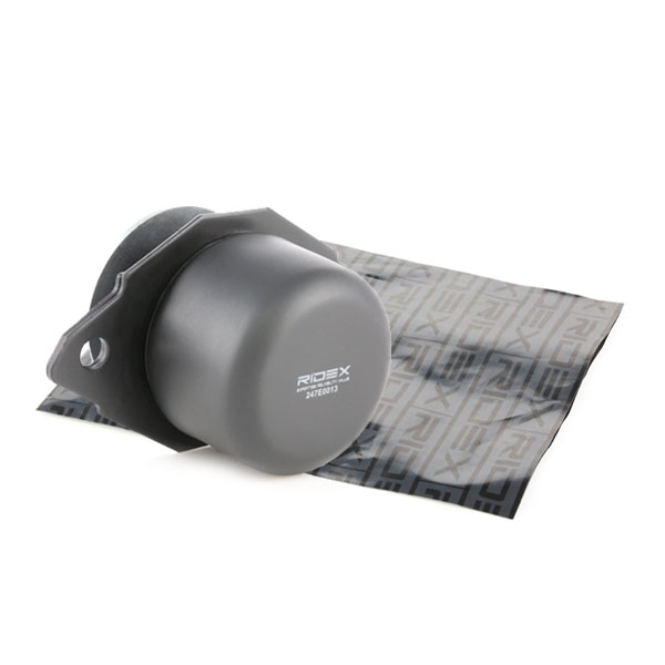 RIDEX variklio montavimas 247E0013
