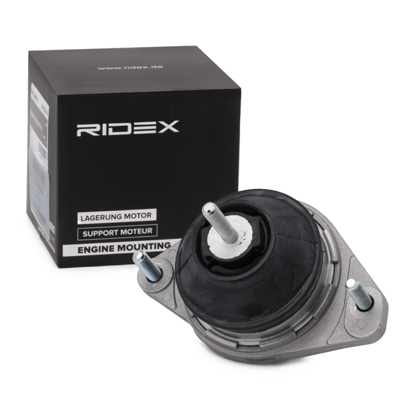 RIDEX Moottorin tuki 247E0030