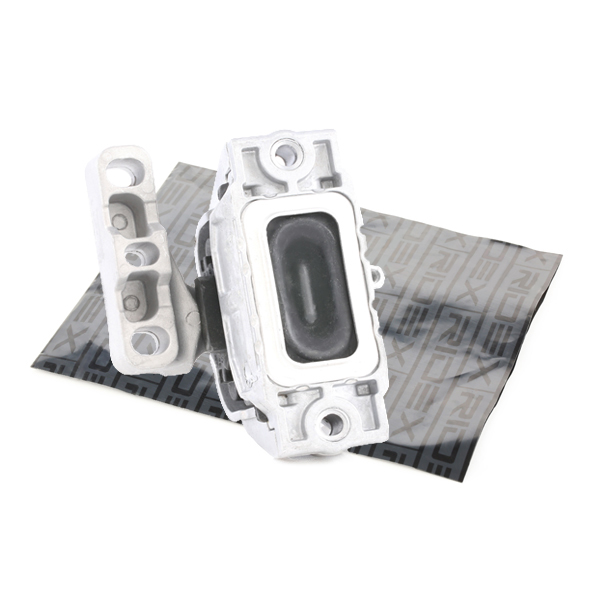 RIDEX variklio montavimas 247E0037
