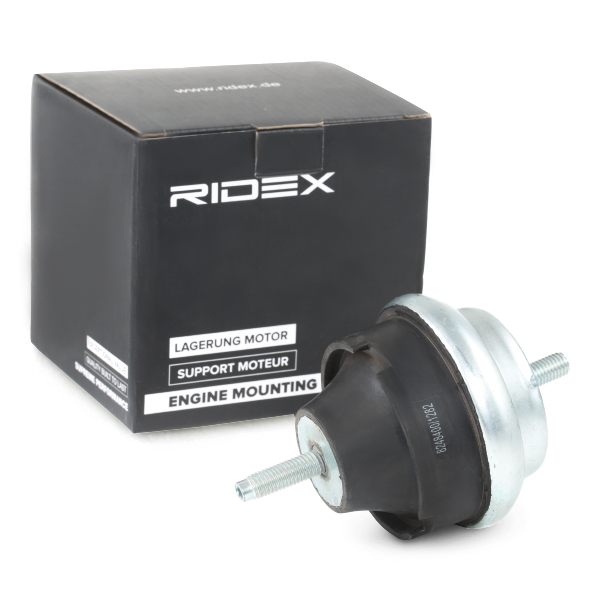 RIDEX Mootoripadi 247E0099