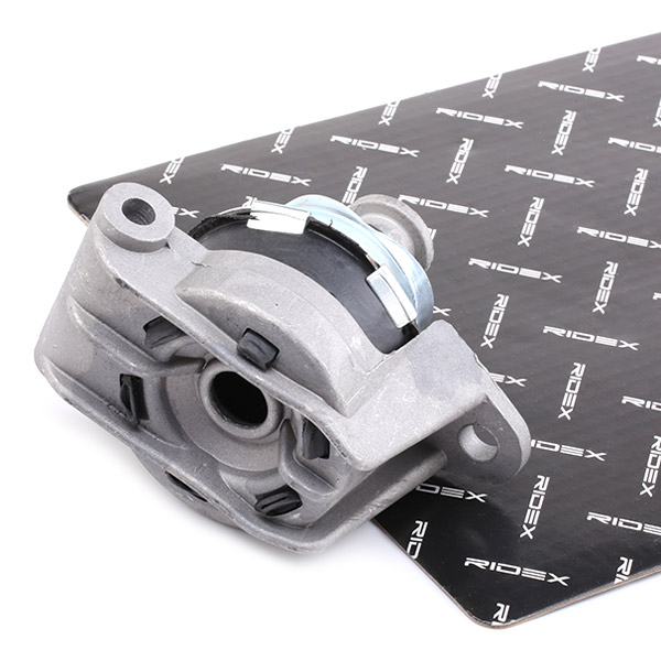 RIDEX Moottorin tuki 247E0107
