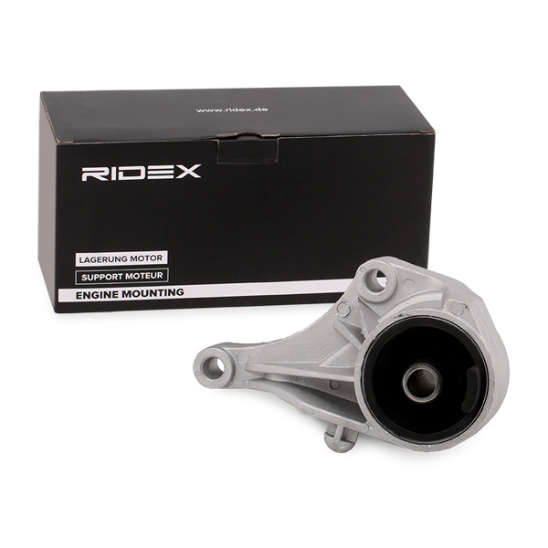 RIDEX Mootoripadi 247E0110