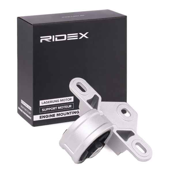 RIDEX Moottorin tuki 247E0127