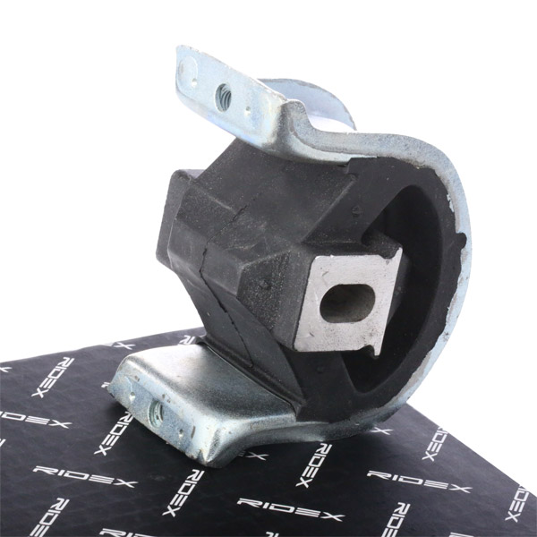 RIDEX variklio montavimas 247E0133