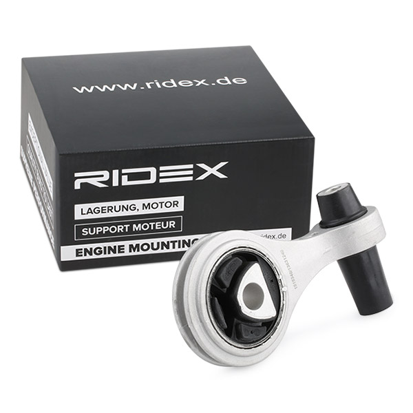 RIDEX Mootoripadi 247E0134