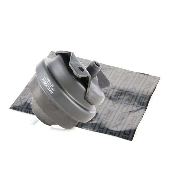 RIDEX variklio montavimas 247E0205