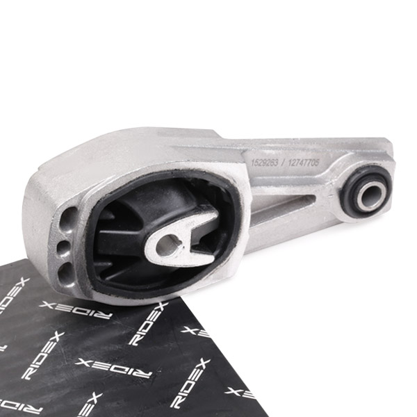 RIDEX Mootoripadi 247E0207