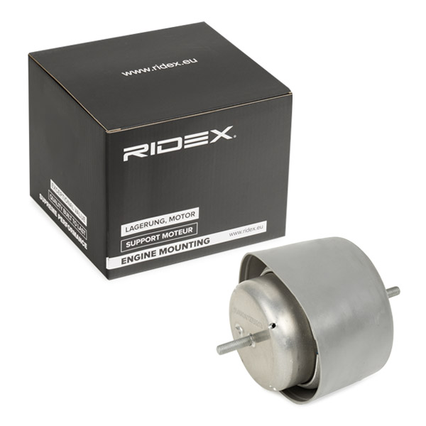 RIDEX Moottorin tuki 247E0214