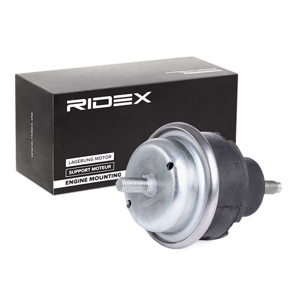 RIDEX Mootoripadi 247E0217