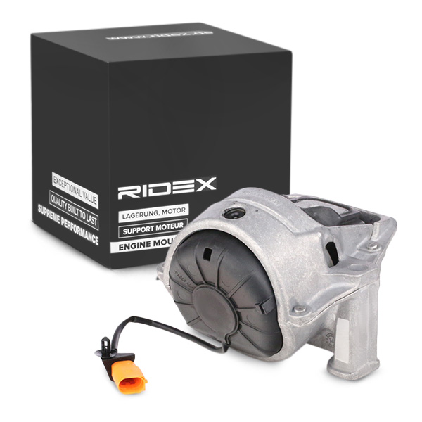 RIDEX Moottorin tuki 247E0231
