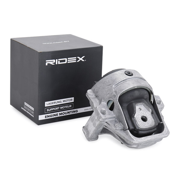 RIDEX Moottorin tuki 247E0253