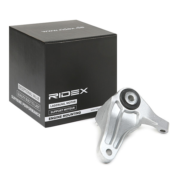 RIDEX Mootoripadi 247E0254