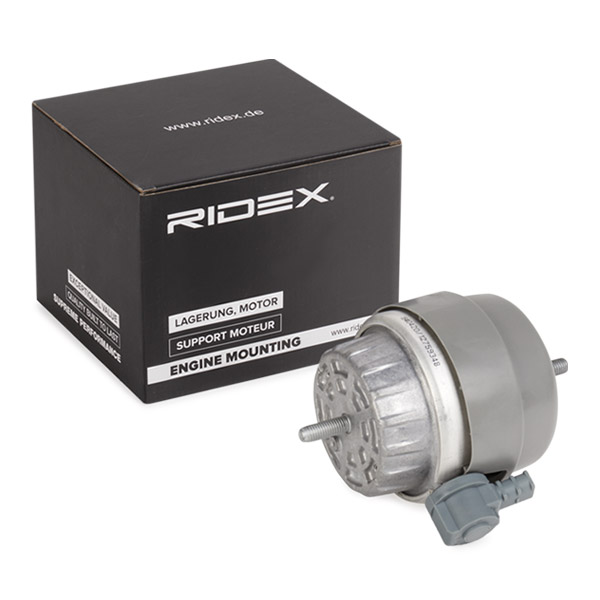RIDEX Moottorin tuki 247E0270