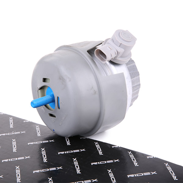 RIDEX Moottorin tuki 247E0300