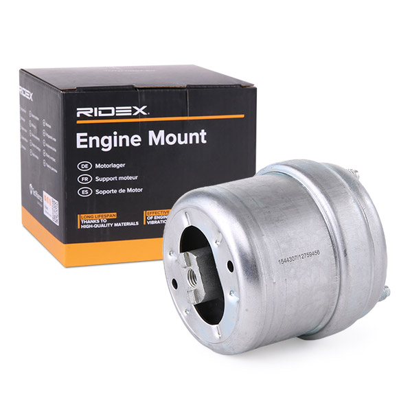 RIDEX variklio montavimas 247E0313