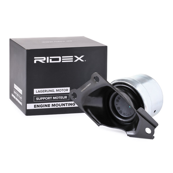 RIDEX variklio montavimas 247E0329