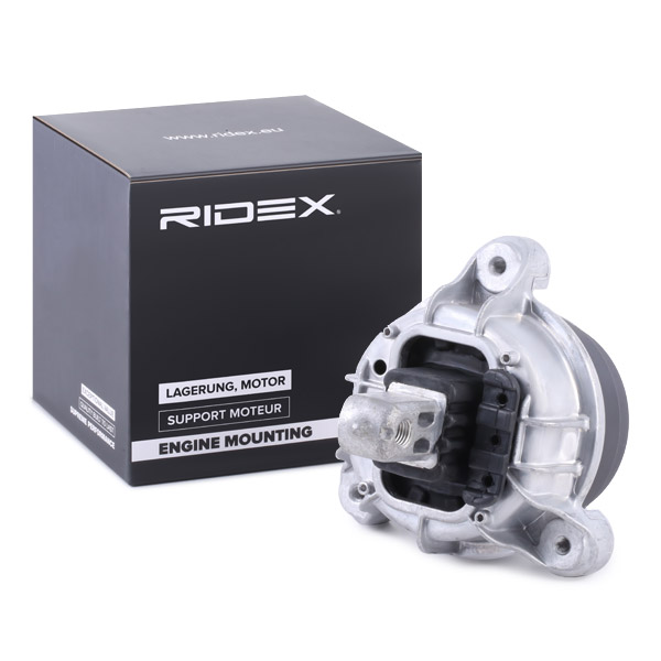 RIDEX Mootoripadi 247E0331