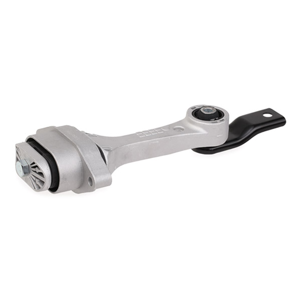 RIDEX variklio montavimas 247E0382