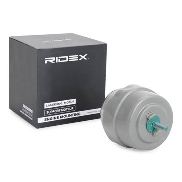 RIDEX Moottorin tuki 247E0407