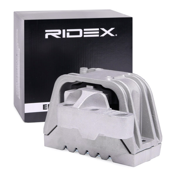 RIDEX variklio montavimas 247E0423