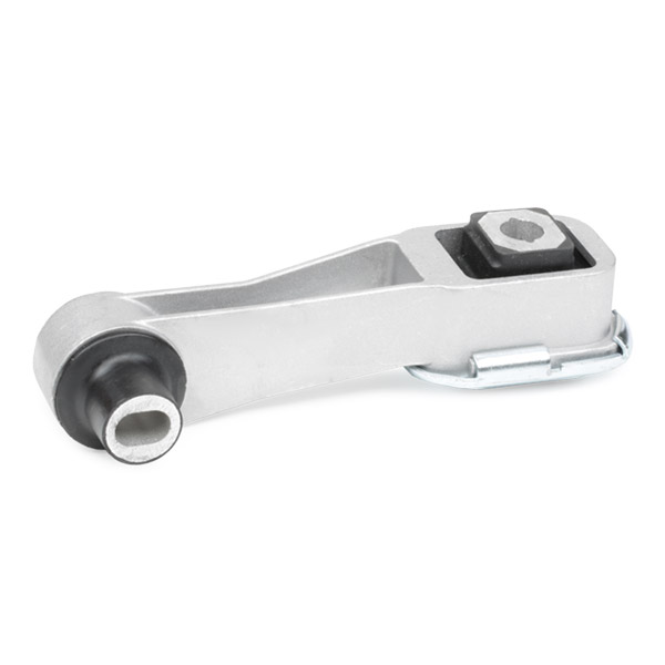 RIDEX Mootoripadi 247E0460