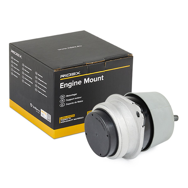 RIDEX variklio montavimas 247E0478