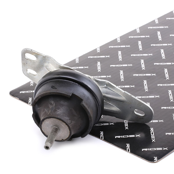 RIDEX Mootoripadi 247E0494
