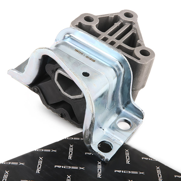 RIDEX Mootoripadi 247E0571