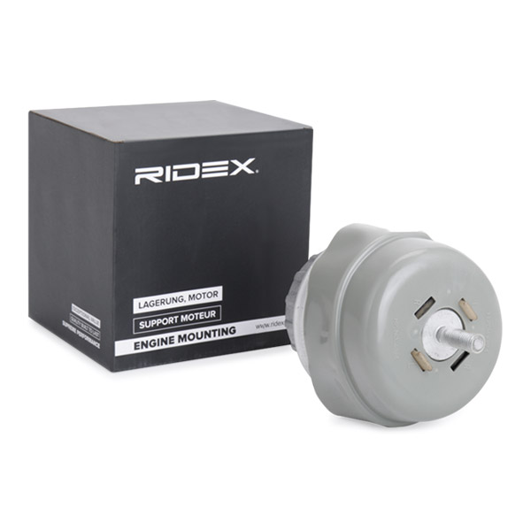 RIDEX Moottorin tuki 247E0744