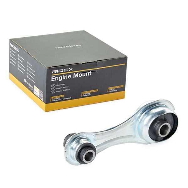 RIDEX Moottorin tuki 247E0961