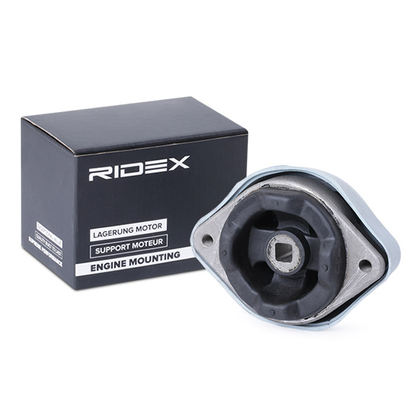 RIDEX Vaihteiston tuki, autom. 249M0171
