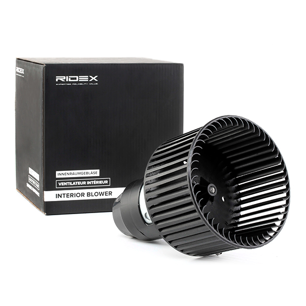 RIDEX Salongipuhur 2669I0011