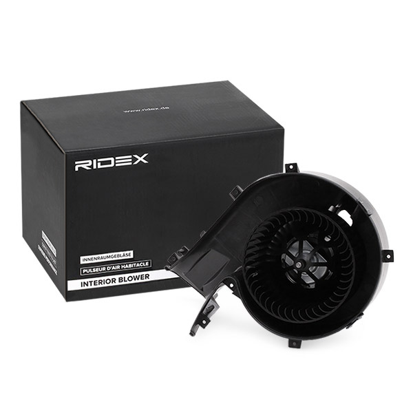 RIDEX Salongipuhur 2669I0032