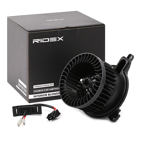 RIDEX Salongipuhur 2669I0036