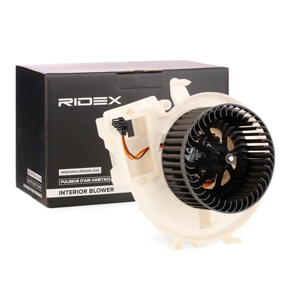RIDEX Salongipuhur 2669I0041